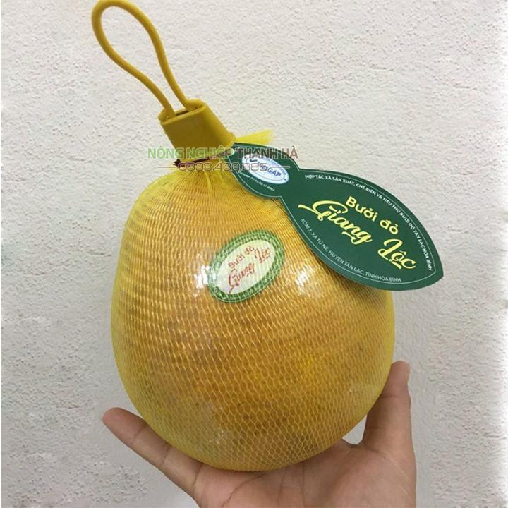 1 Kg Túi lưới đựng trái cây dài 25cm kèm móc khóa màu vàng - BLV25