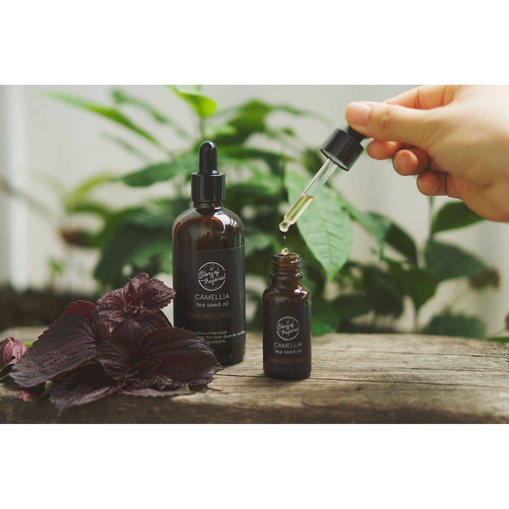 Dầu hạt trà camellia oil - tía tô