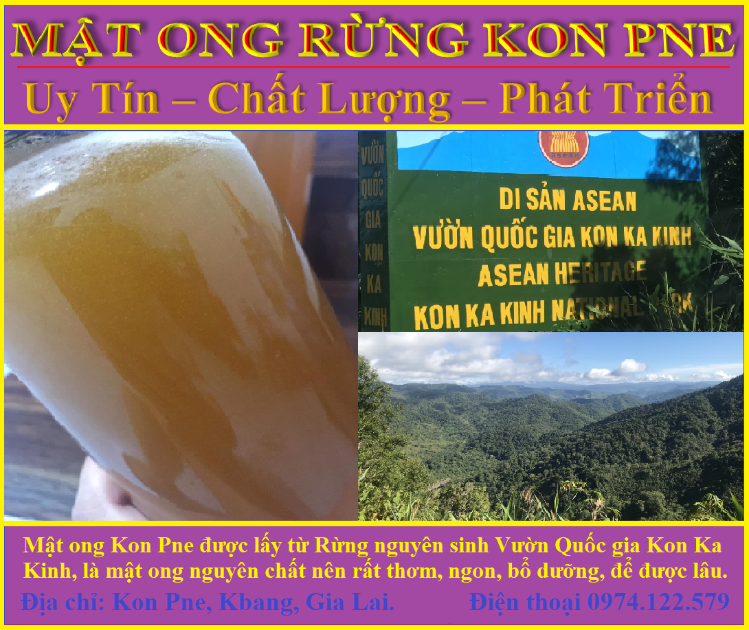 Mật ong rừng nguyên chất 100%. loại đặc biệt thơm, ngon!