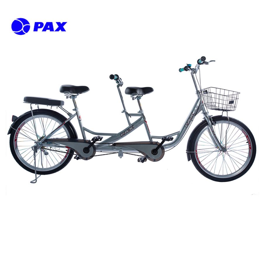 [HCM]Xe đạp đôi PAX 1-Sport