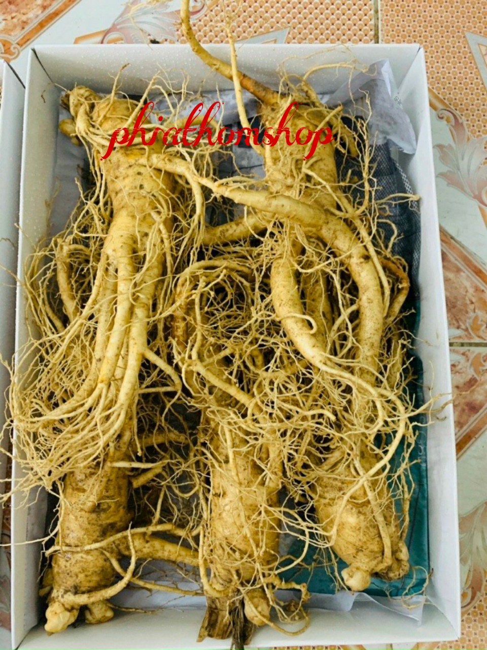 Sâm tươi hàn quốc 5 củ 1 kg - hàng chất lượng nguyên gốc nguyên rễ - 100% nhập khẩu từ hàn quốc