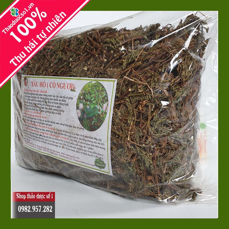 Cây xấu hổ khô 1kg - nd nguyễn thi