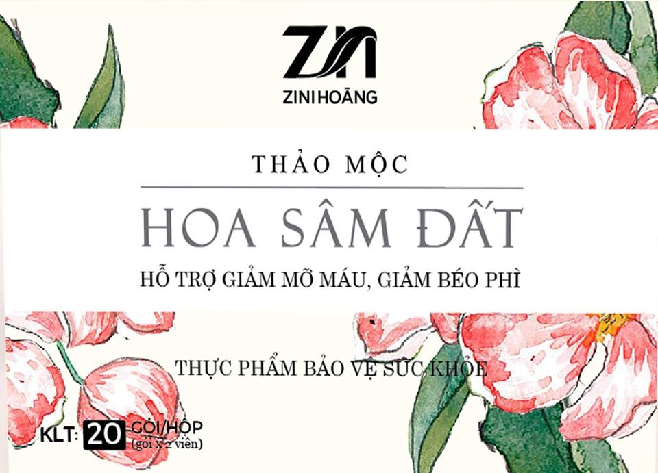 Combo 02 hộp [9 hãng, date mới] Thảo Mộc Giảm cân Hoa Sâm Đất Hộp (20 Gói x 02 viên) – Hỗ trợ giảm mỡ máu, giảm béo phì