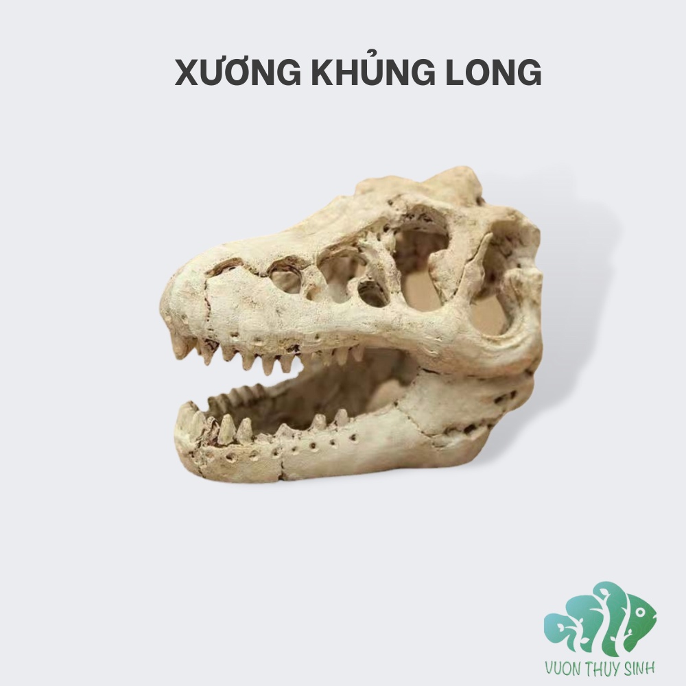 Xương khủng long trang trí bể cá bể thuỷ sinh