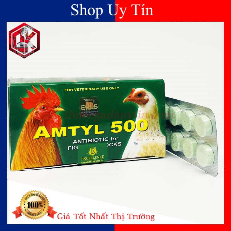 Amtyl 500 trị tang gà đá vĩ 10 viên- chống viêm-chống phù
