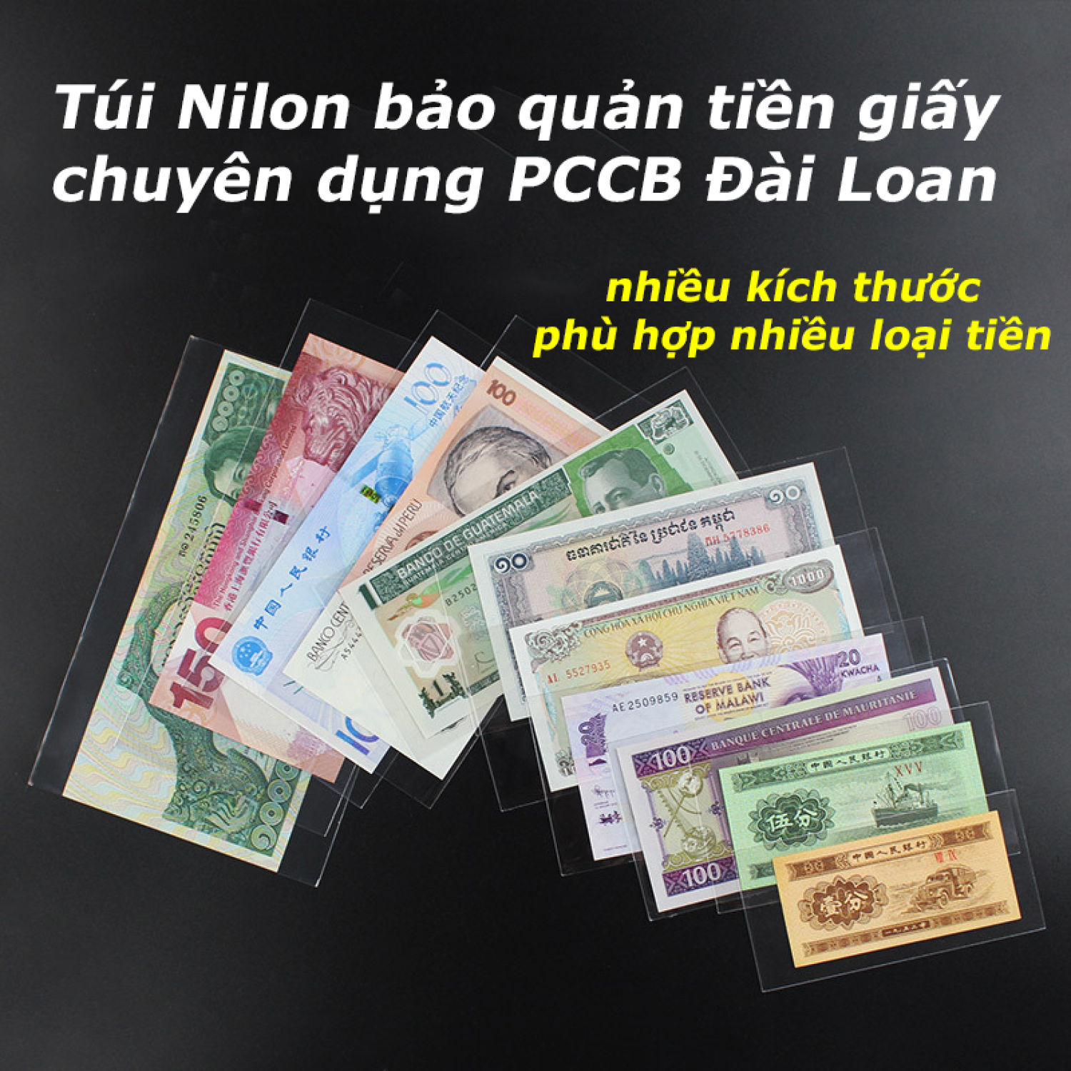 Túi Phơi Nilon đựng tiền giấy OPP bảo quản tiền giấy PCCB Đài Loan, nhiều kích cỡ, 50 miếng/túi