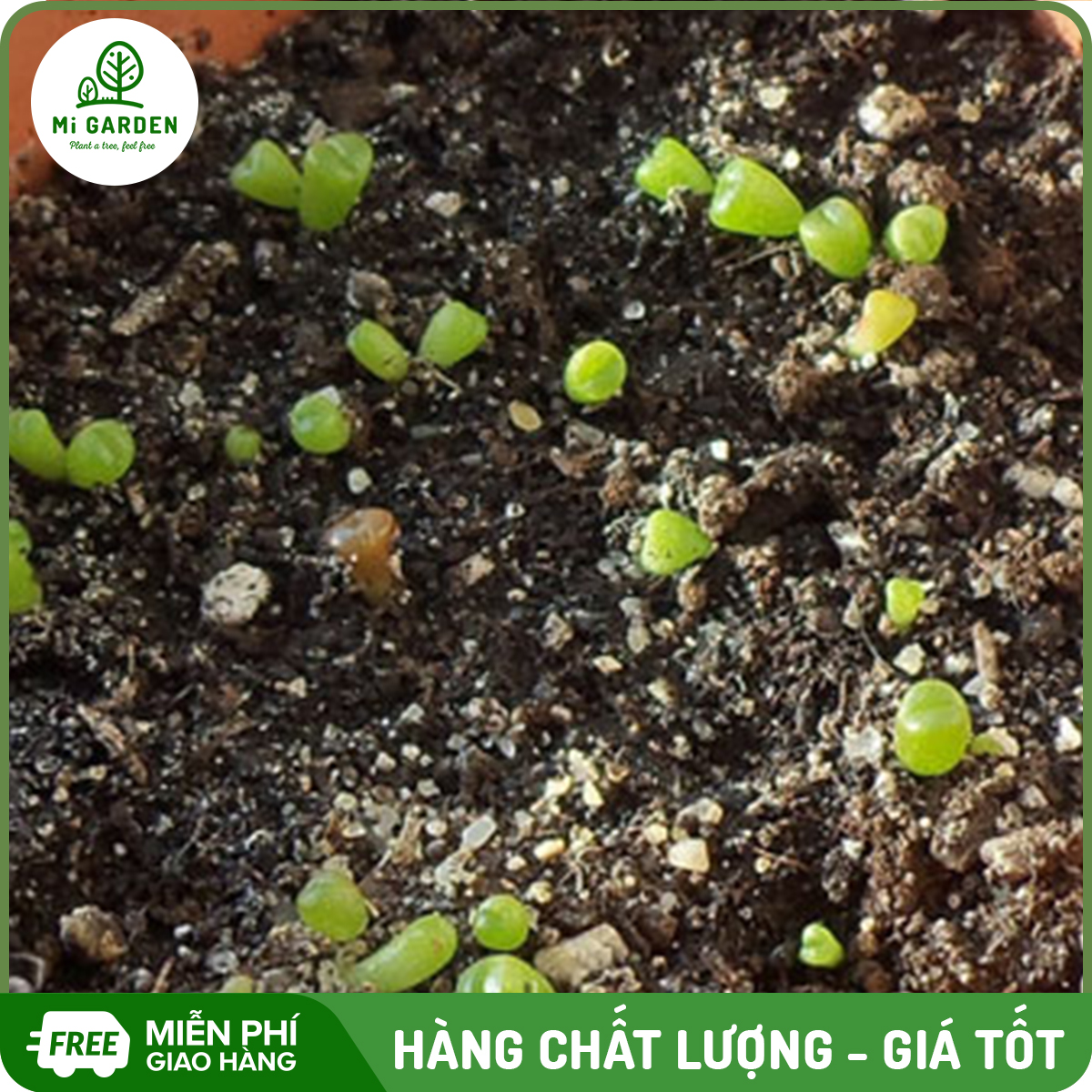 [MUA 2 TẶNG 1] Đất sạch hữu cơ Mi Garden 1kg trồng rau, trồng hoa, cung cấp chất dinh dưỡng cho cây giúp cây phát triển tốt