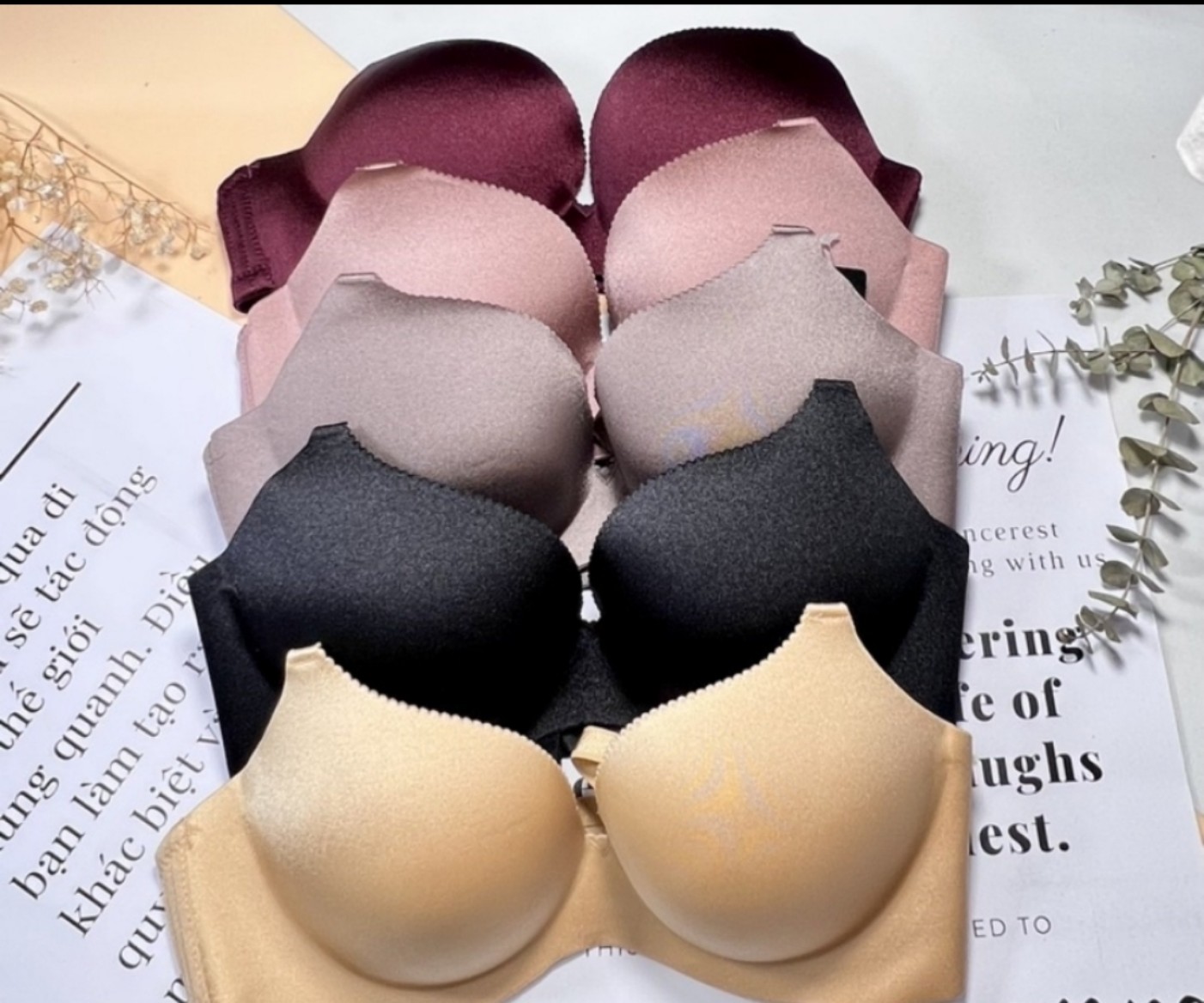 Áo ngực đúc sisterhood 948 hàng chuẩn nội địa thái lan