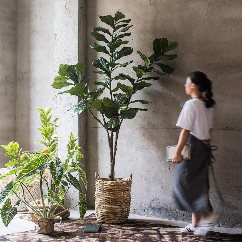 Cây bàng Singapore giả - Size 122cm - 3 nhánh - chưa chậu - Cây giả, hoa lụa Decor trang trí nhà cửa