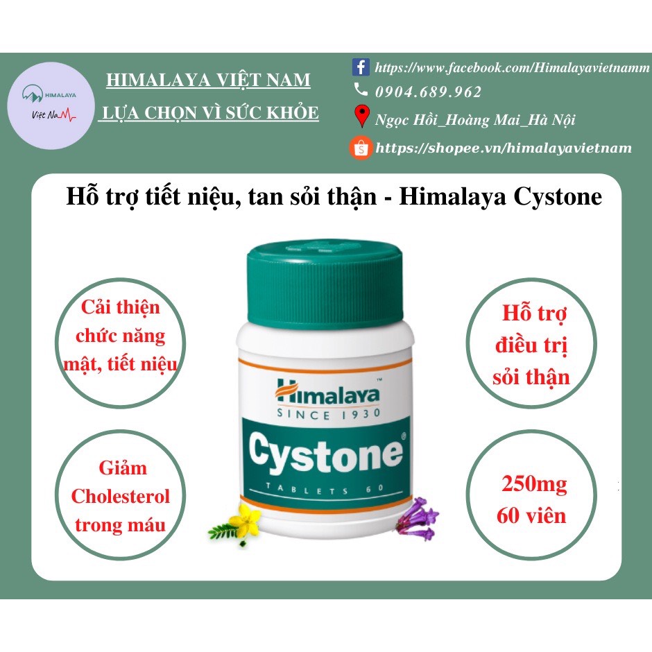 Himalaya Cystone - Viên hỗ uống trợ Thận của Himalaya