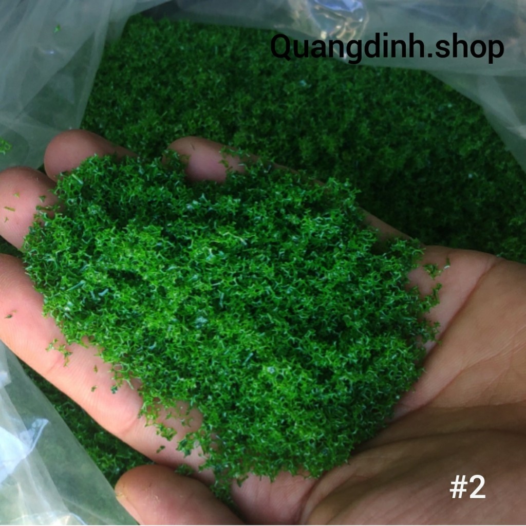 Rêu làm mô hình trang trí tiêu cảnh.