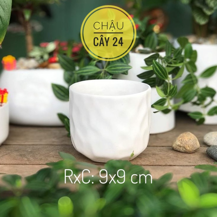 Chậu Sứ Trồng Cây Cảnh Để Bàn, Sen Đá, Xương Rồng hình Mắt Na