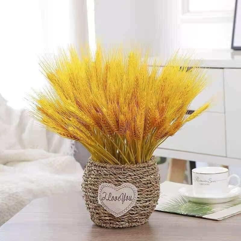 Bó 100 cành bông lúa mạch khô, decor, phong thuỷ tài lộc, set 100 cành lúa mạch vàng khô