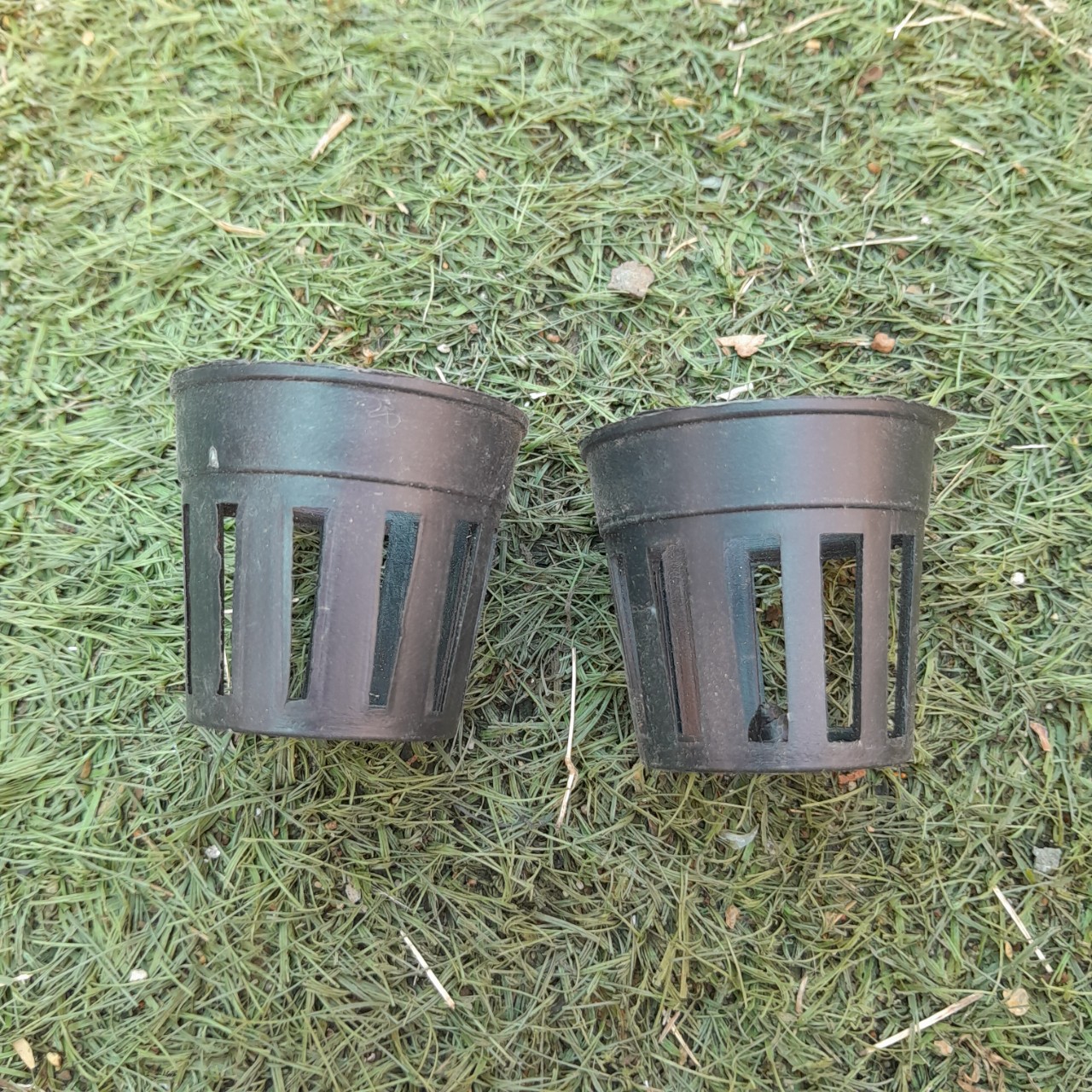 Chậu nhựa trồng lan- 50 chậu nhựa đen trồng lan nuôi cấy mô