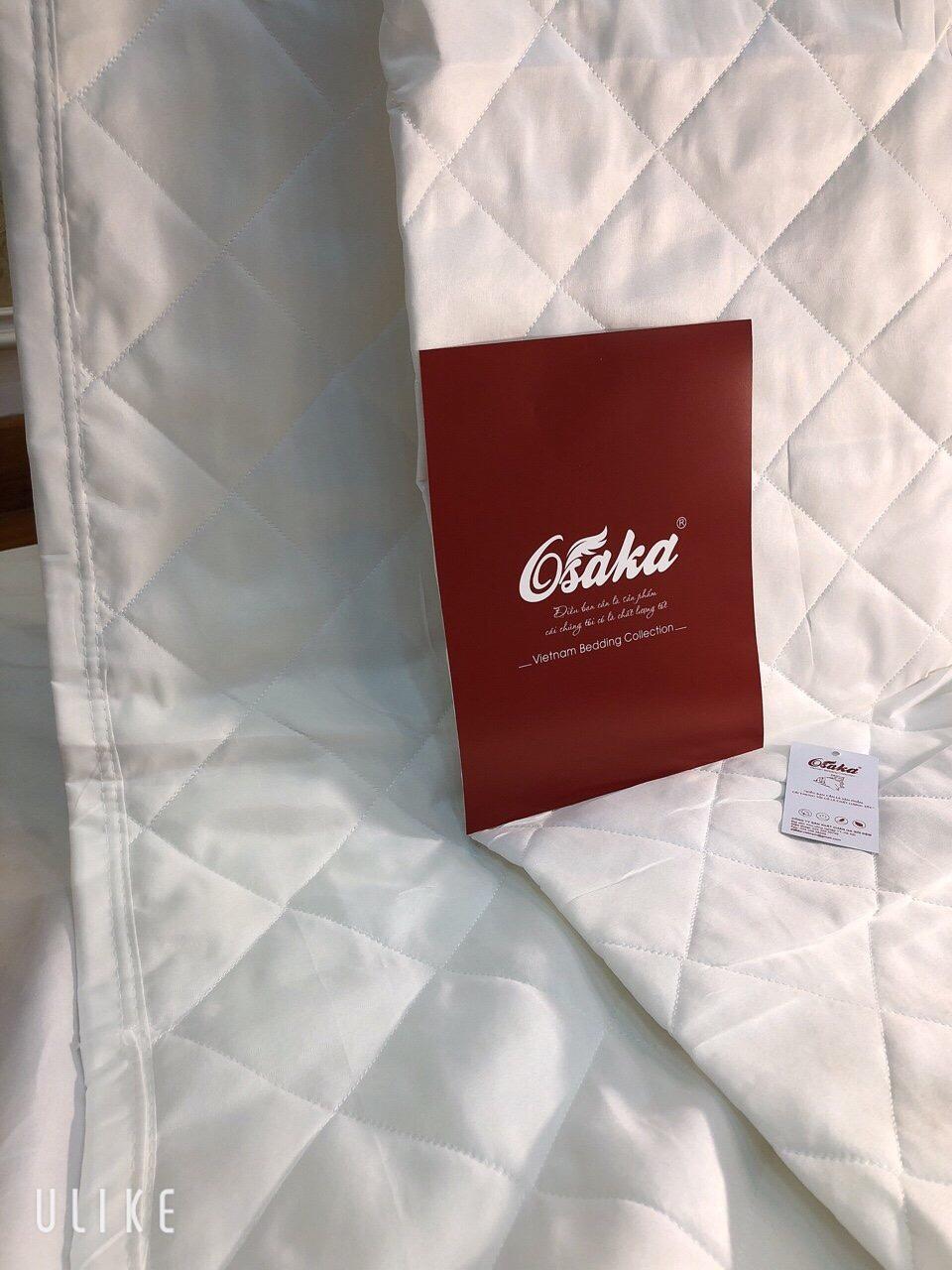 RUỘT CHĂN HÈ TRẦN BÔNG TẤM MỎNG CAO CẤP 200*220