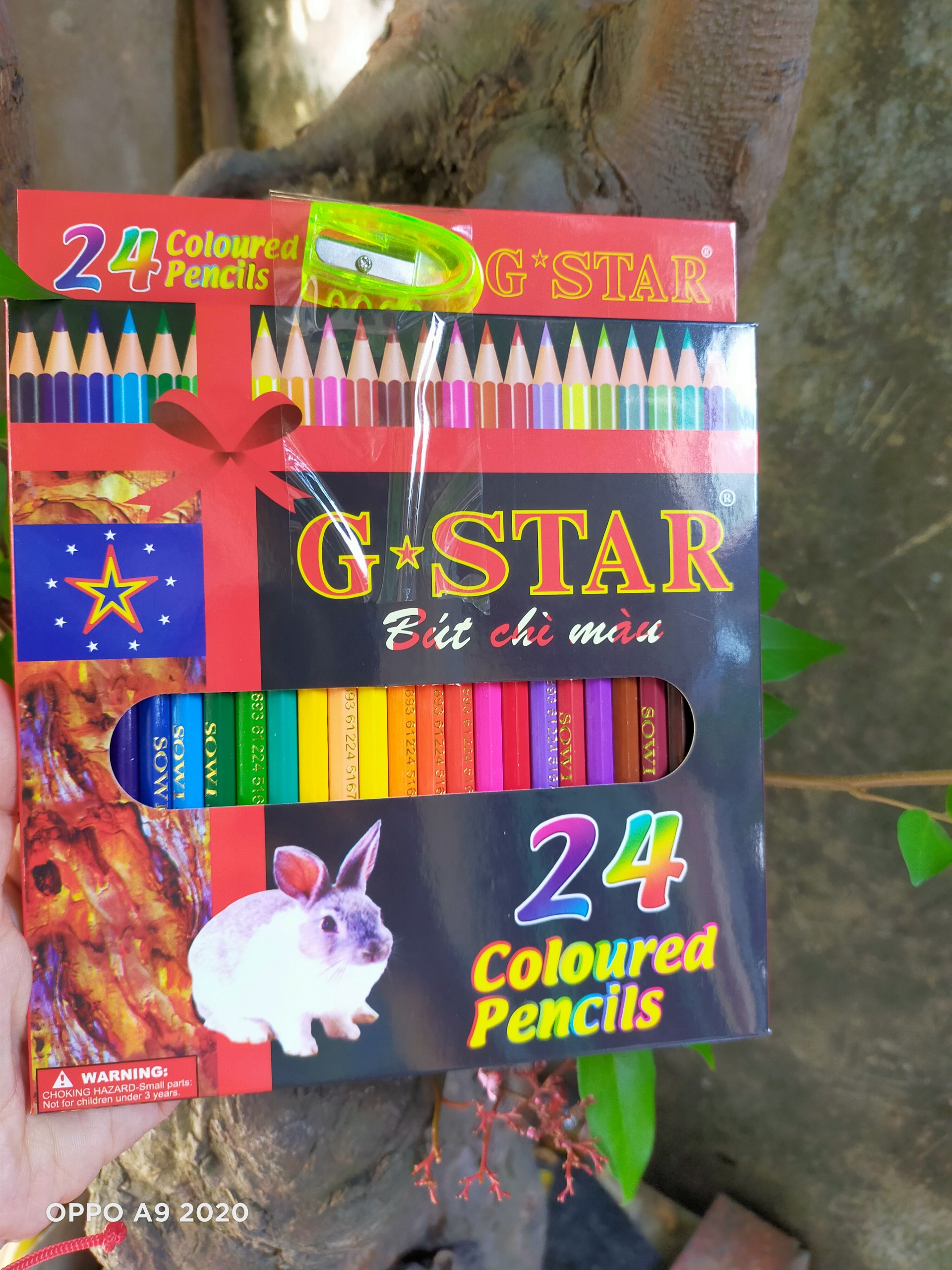 Hộp 24 cây bút chì màu thân gỗ Gstar