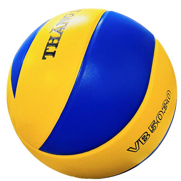 Bóng chuyền thăng long vb5030