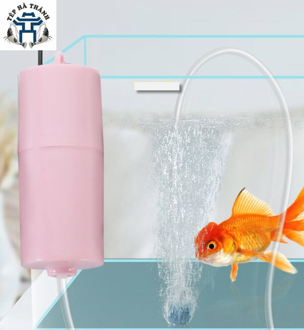 Máy sủi mini kết nối usb - sủi oxy cho bể cá cảnh siêu êm siêu tiện lợi