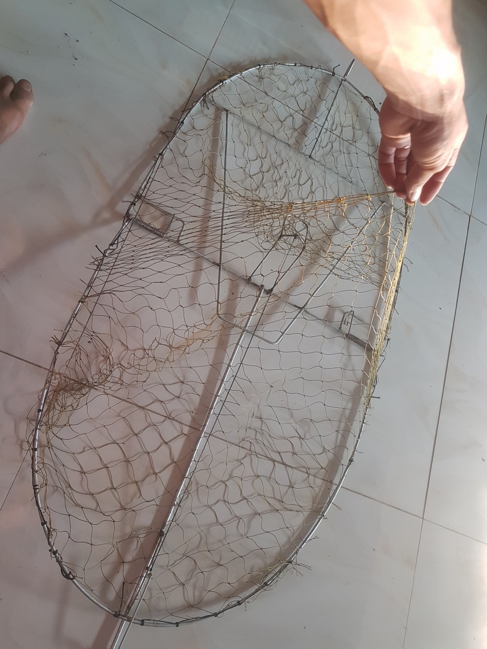 Mẹt bẫy quốc, bẫy bìm bịp ( loại hình bán nguyệt kích cỡ 49 X 1m ) chất liệu thép AC mạ chì không rỉ, lò xo cực mạnh bảo hành 2 năm