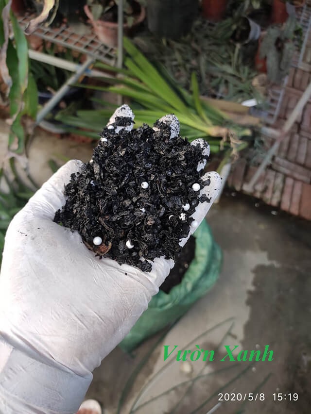 Giá thể vỏ lạc hun, đậu phộng hun tốt cho trồng kiếm, trộn đất trồng cây cảnh, rau sạch gói 0,5kg