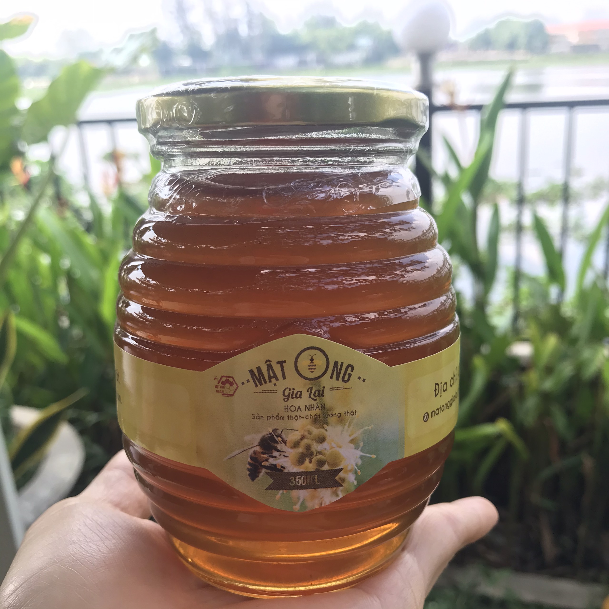 Mật ong hoa nhãn nguyên chất 350ml - Hàm lượng đường C4 7% - Đúng chuẩn nguyên chất để xuất khẩu.