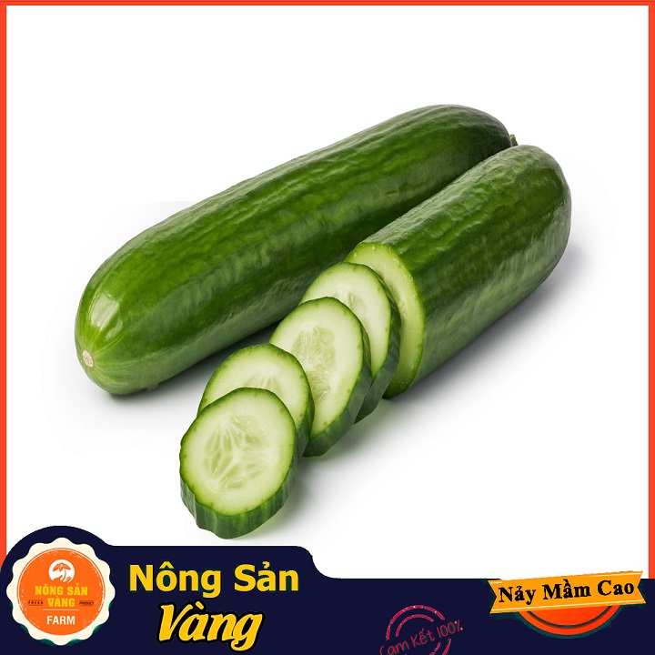 [HCM]Hạt giống Dưa Leo ( Gói 25 Hạt ) - Nông Sản Vàng