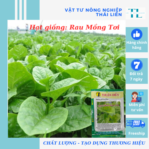 Hạt giống Rau Mồng tơi, hàng Công ty Thuận Điền