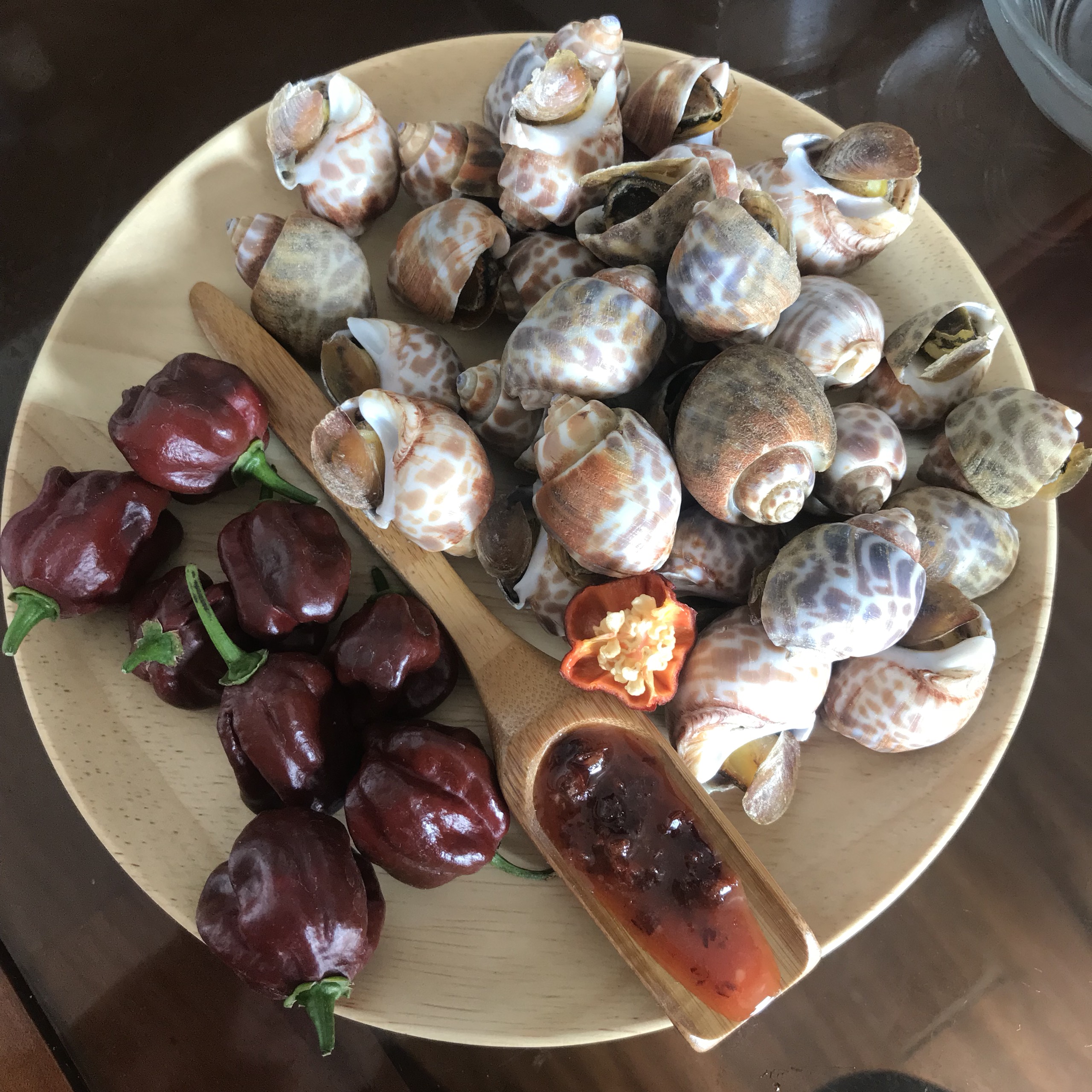 Hạt ớt Giống Habanero choco
