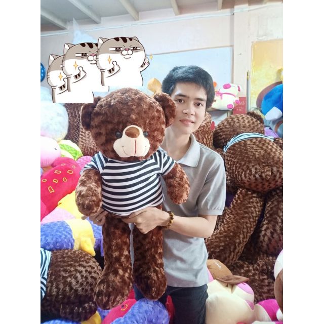 Gấu bông teddy khổ vải 90cm cao 80cm