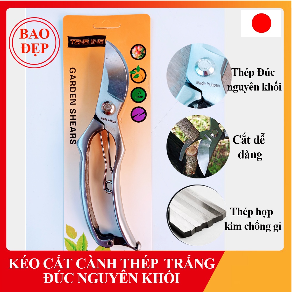 Kéo cắt cành cây cảnh bonsai thép trắng đúc nguyên khối Nhật Bản chuyên dụng