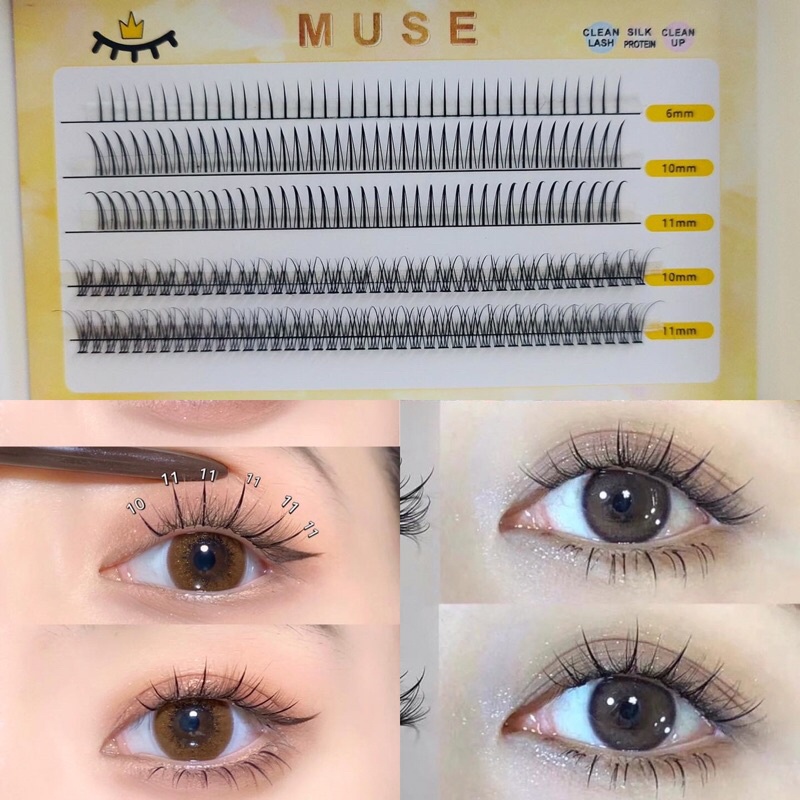 Lông mi muse 5 hàng n01 và n04