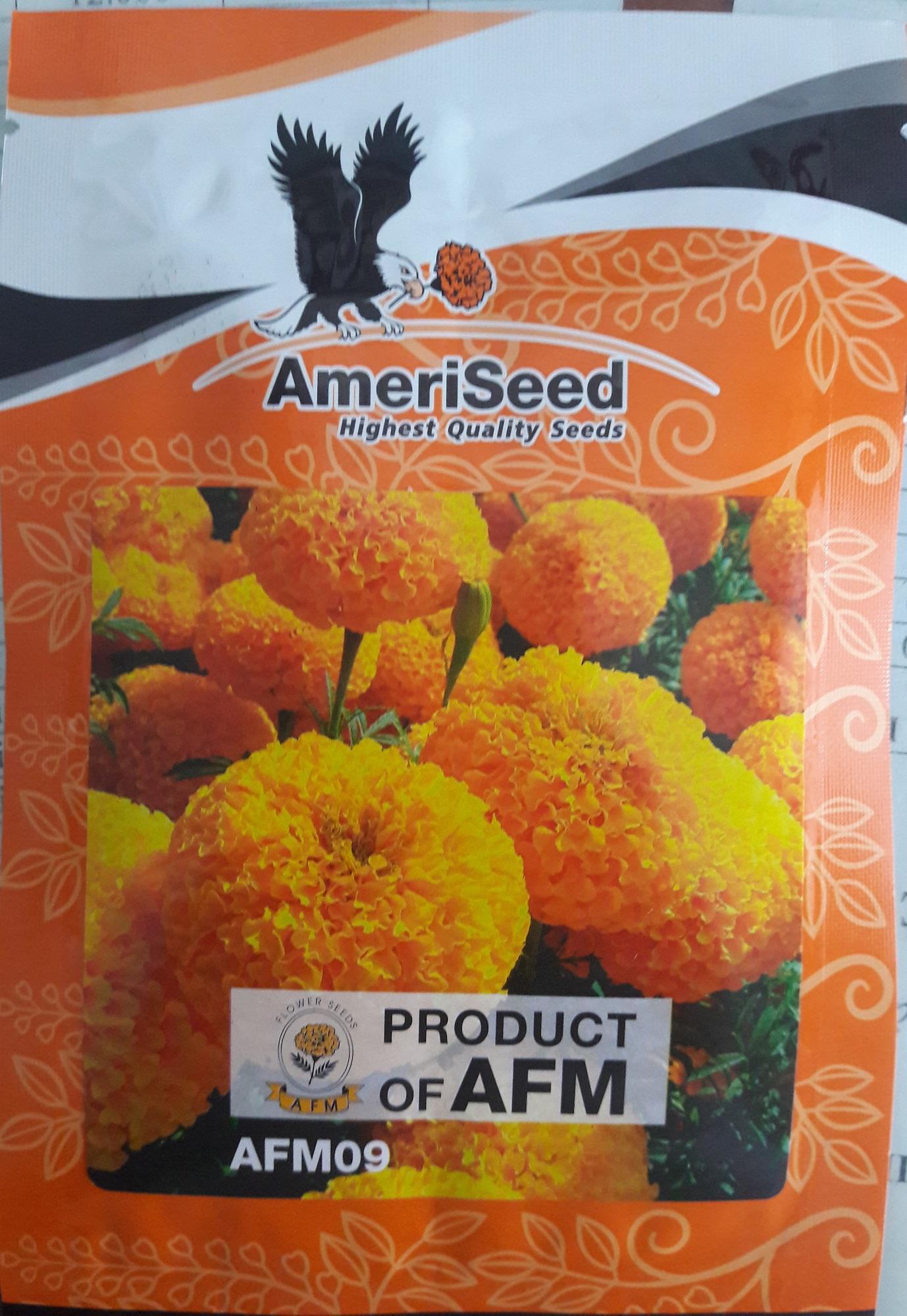 Hạt giống vạn thọ thái lùn cam đỏ cao lỡ