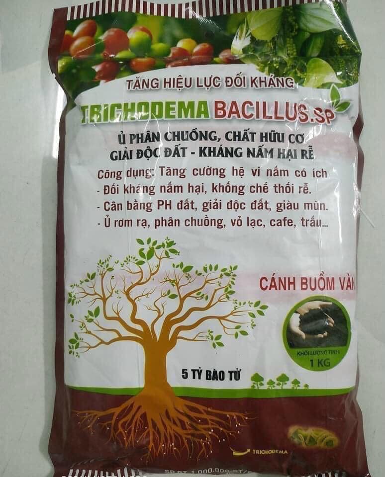 Sản phẩm Nấm đối kháng Trichoderma Bacillus – T32 tăng hiệu lực đối kháng cho cây trồng