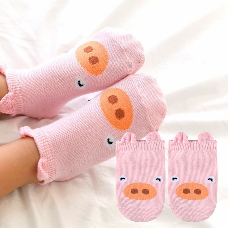 Combo 5 đôi Tất Kids phong cách hàn quốc cho bé T365 siêu xinh