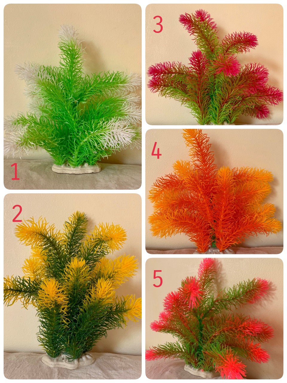 [HCM]Chọn màu ngẫu nhiên] Cây rong đuôi chồn trang trí hồ cá-bể cá cảnh.