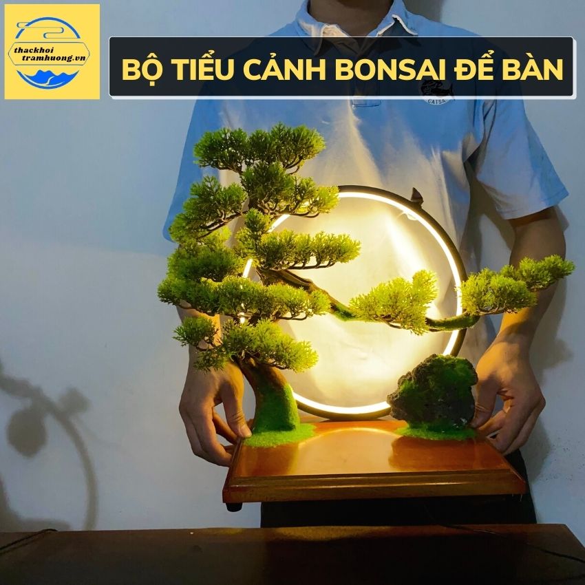 Bộ tiểu cảnh để bàn , Bộ Bonsai mini dùng trang trí decor