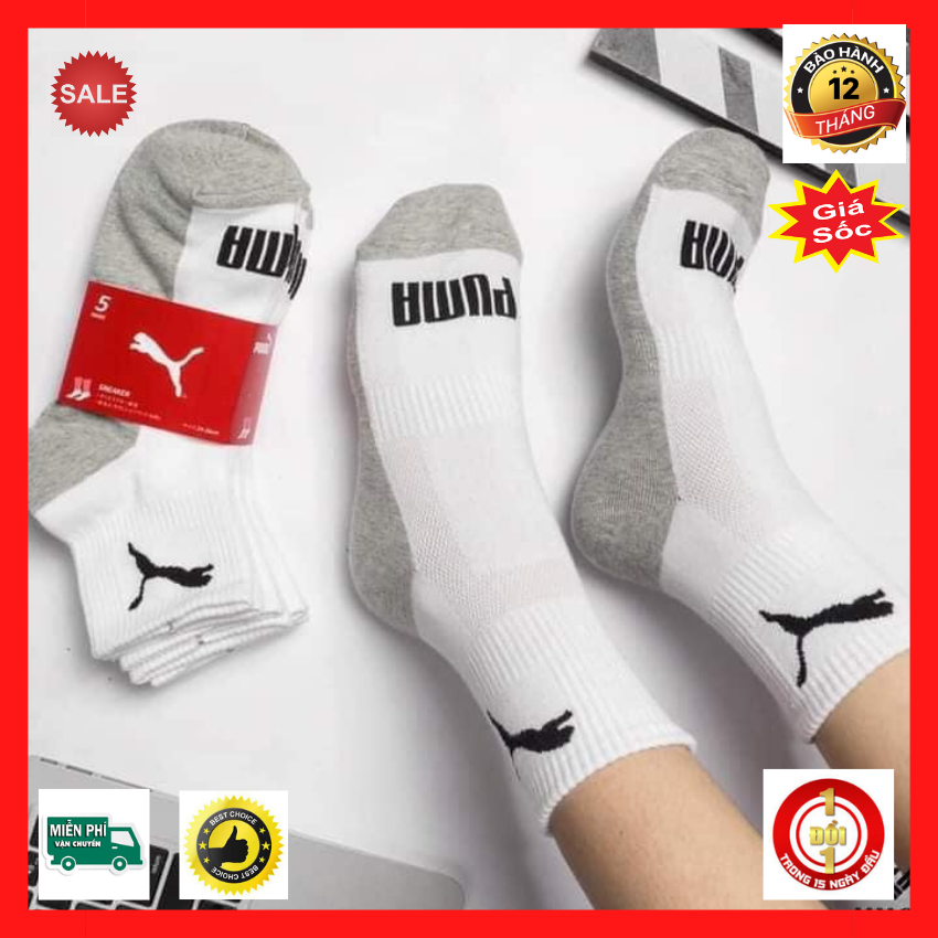 Siêu sale- siêu phẩm sét 05 đôi tất puma việt nam xuát khẩu kèm quà tặng 1 đôi tất s19 dành cho bé