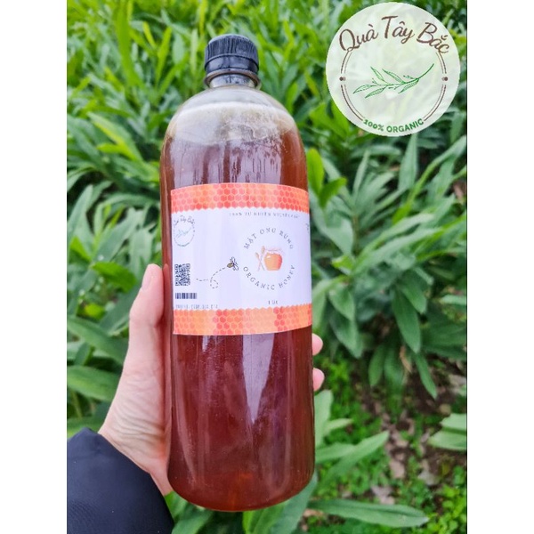 Mật ong rừng tự nhiên nguyên chất từ vùng núi mù cang chải - yên bái