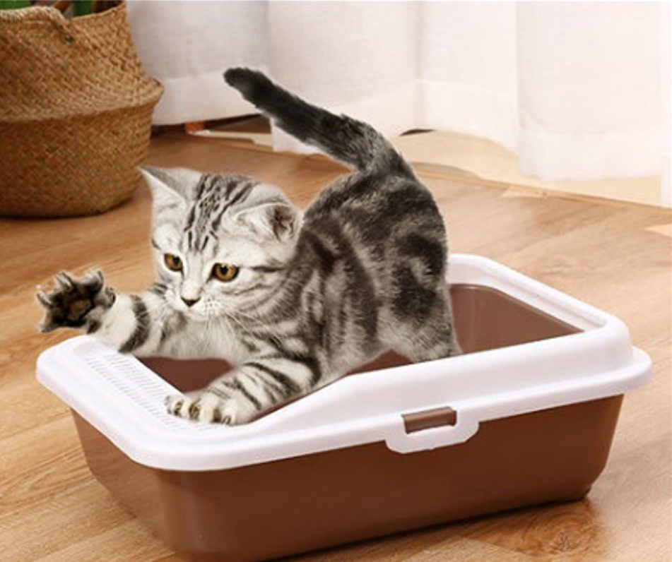 Tặng xẻng 🐾 khay vệ sinh mèo thành cao - thau cát - chậu cát cho mèo đi đại tiện siêu đẹp - siêu bền🐾