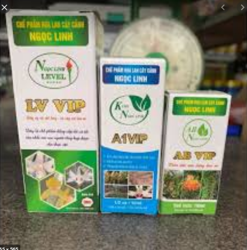 Bộ 3 lọ nuôi dưỡng kích kie phong lan Ngọc Linh