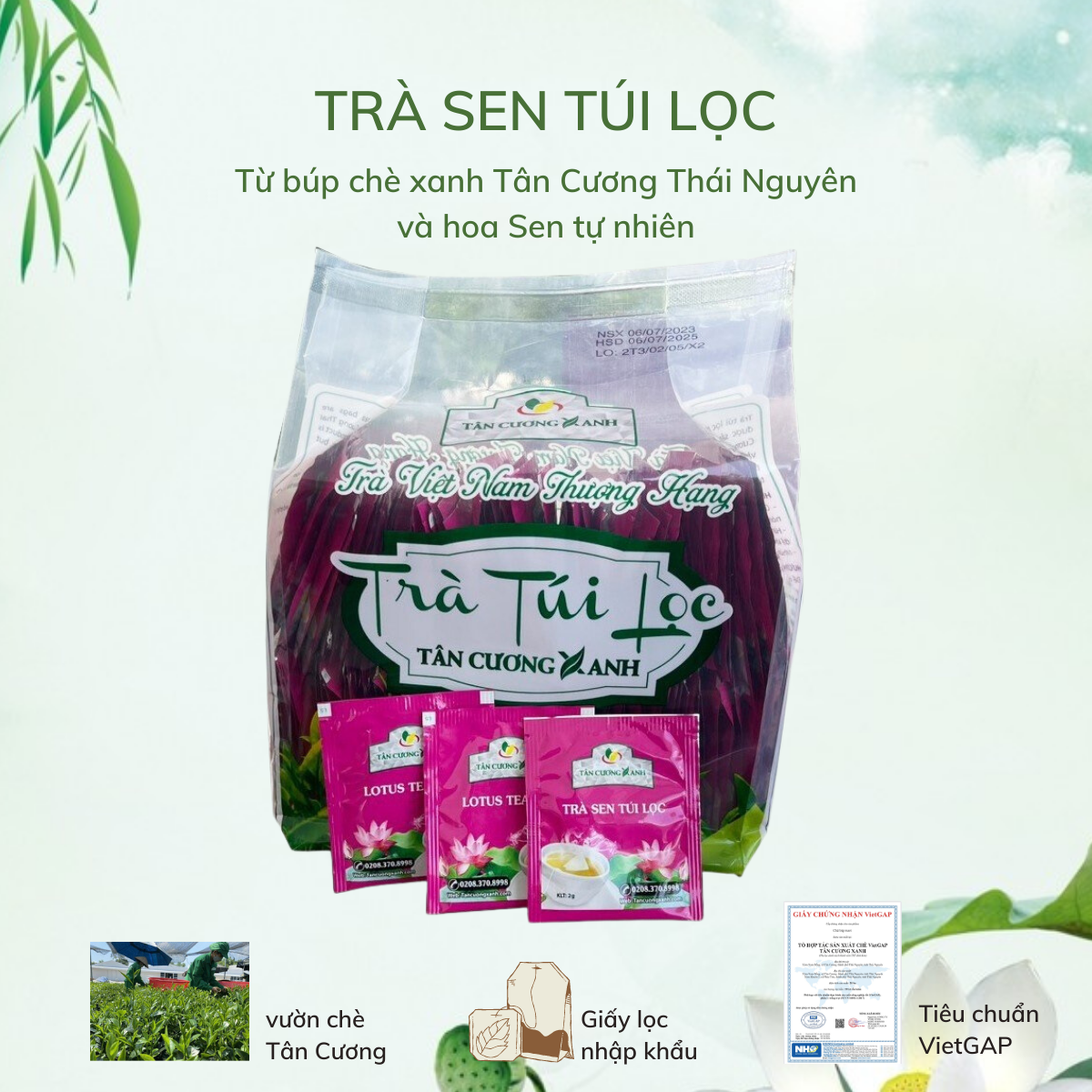 Trà Sen túi lọc bịch lớn 100 gói tiện lợi -Trà Tân Cương Thái Nguyên