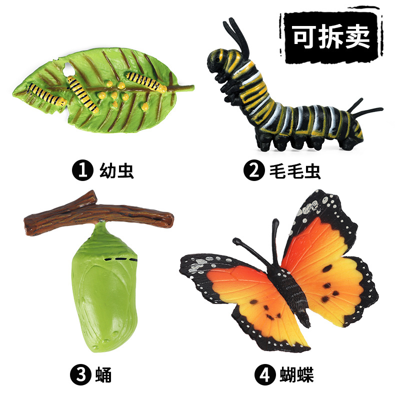 -A Khoa Học Và Giáo Dục Trẻ Em Giáo Dục Mầm Non Mô Hình Động Vật Mô Phỏng Ong Nhện Mantis Bướm Chu Kỳ Tăng Trưởng Đồ Chơi