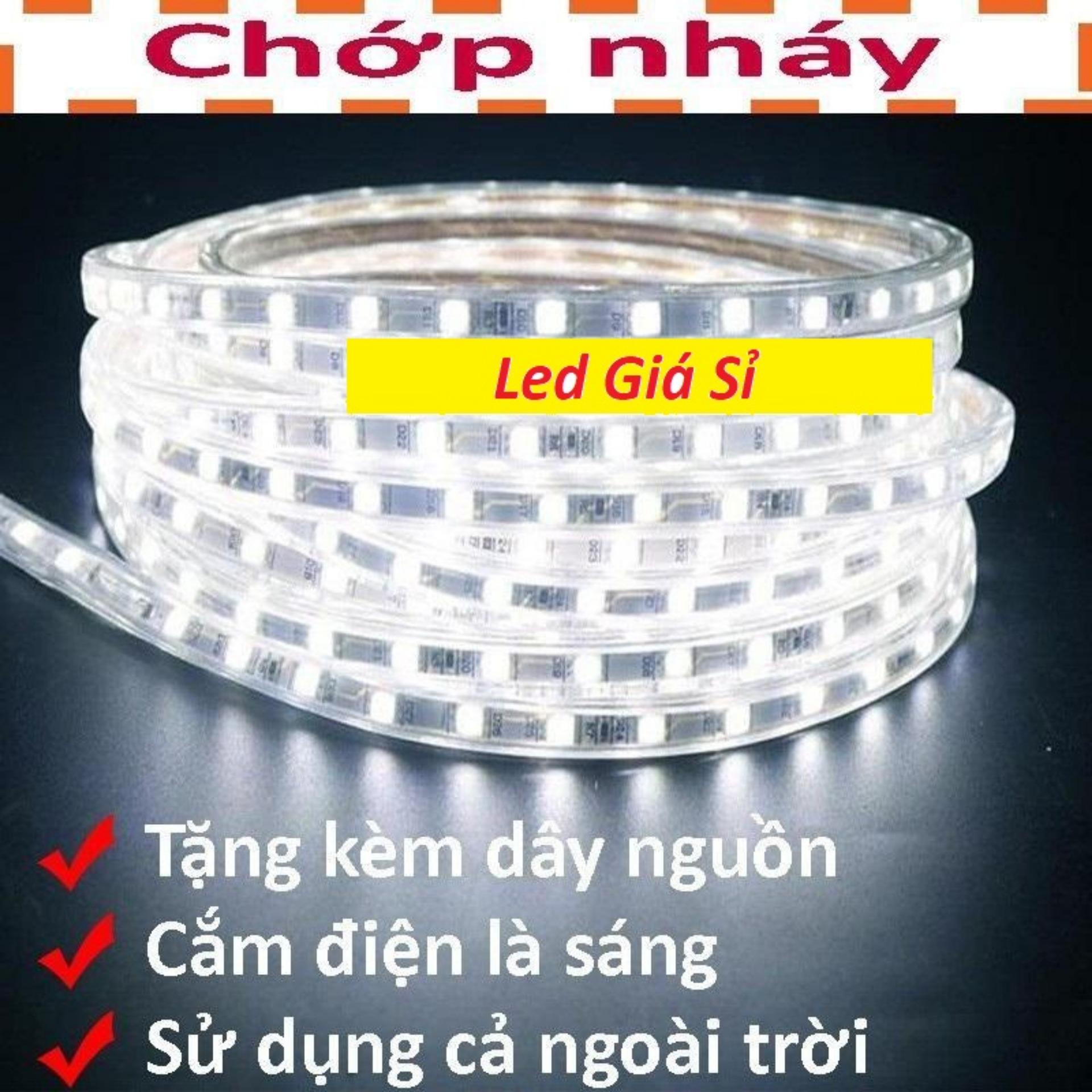 Đèn LED dây 4040 10M ống nhựa 220v tặng kèm 1 dây nguồn chớp nháy
