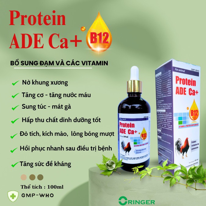 5 chai 100ml PROTEIN ADE Ca+ B12 bổ sung vitamin, Protein, Ca giúp gà sung sức, tăng nước máu