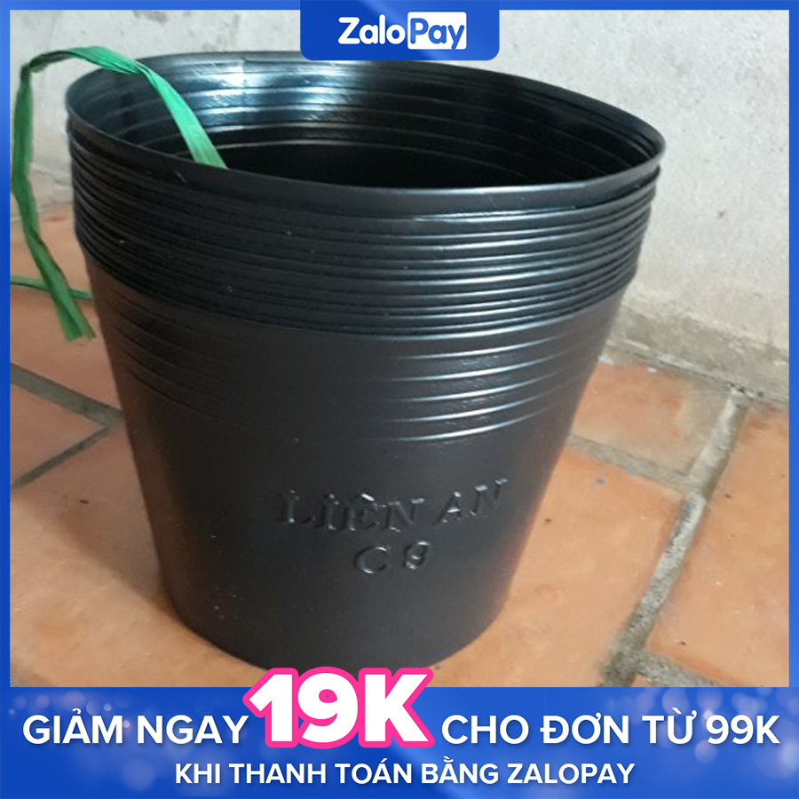 Bộ 10 chậu trồng hoa, cây cảnh c6 - cây trồng long vũ