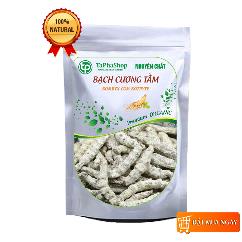 Bạch cương tằm 500g - Tấn phát