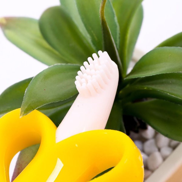 Gặm nướu chuối xuất sứ Mỹ