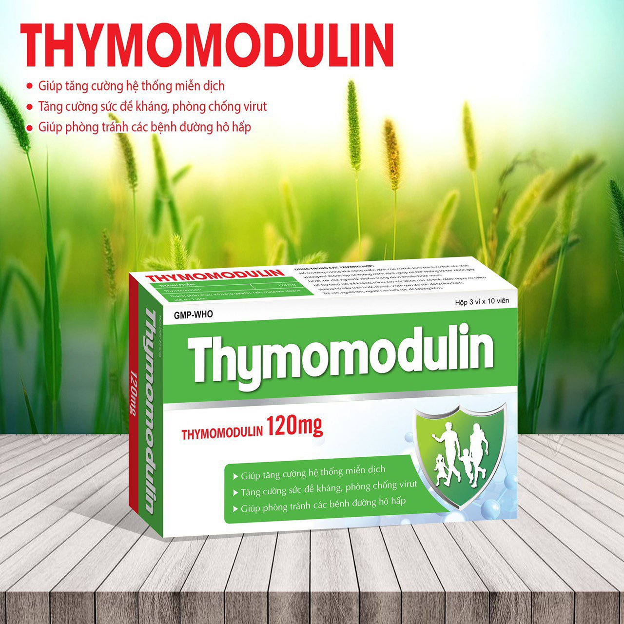Viên uống Thymomodulin 120mg tăng cường sức đề kháng, kháng khẩn, ngừa virus, phòng tránh bệnh đường hô hấp - Hộp 30 viên