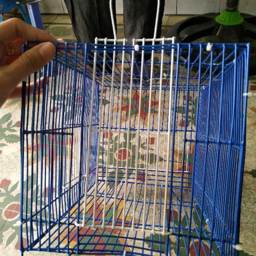 [HCM]Lồng tắm lớn cho chim chích chòe, chào mào, họa mi, khướu, sáo, v.v...