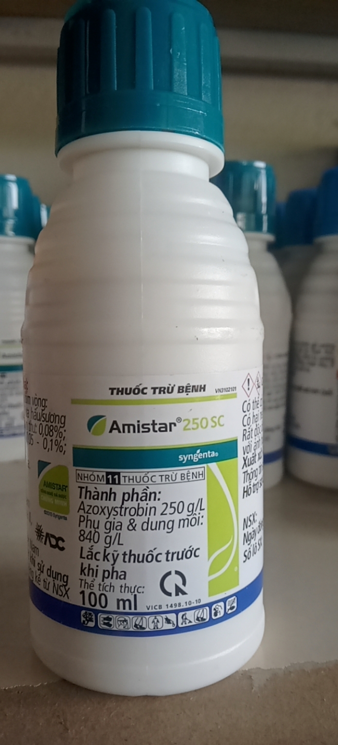 Thuốc trừ bệnh amistar 250sc syngenta.